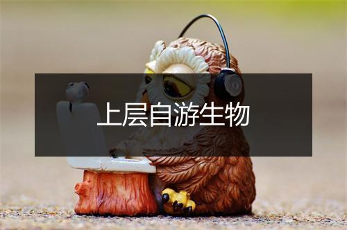 上层自游生物