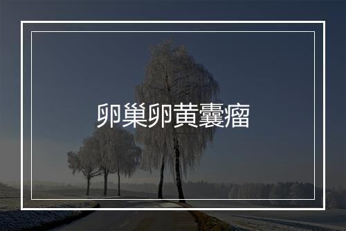 卵巢卵黄囊瘤