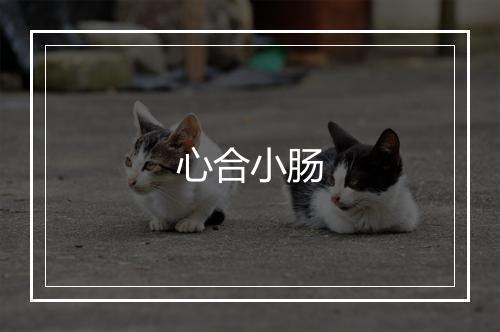 心合小肠