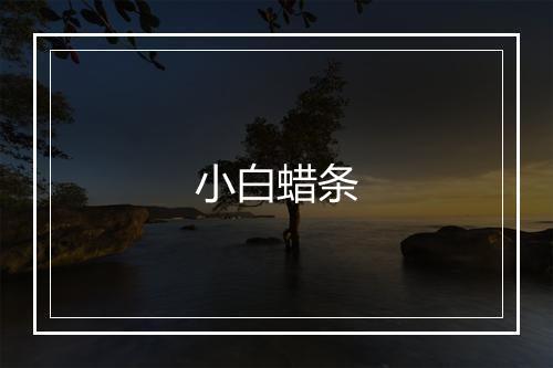 小白蜡条