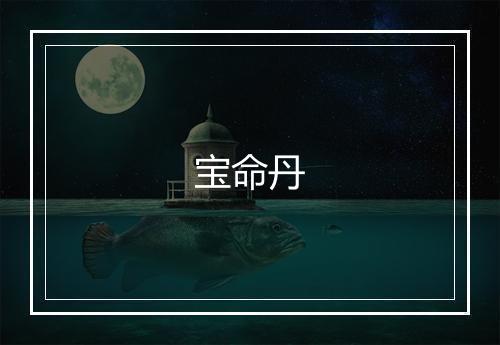 宝命丹