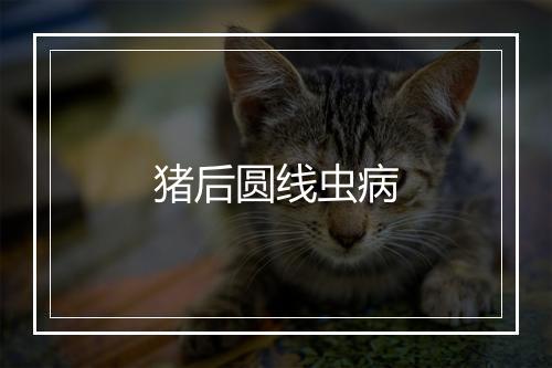 猪后圆线虫病