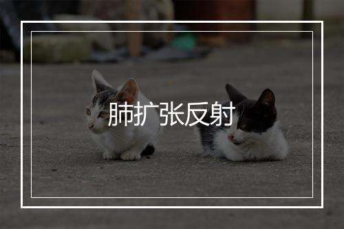 肺扩张反射