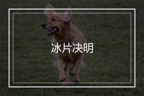 冰片决明