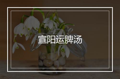 宣阳运脾汤