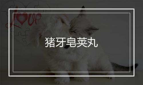 猪牙皂荚丸