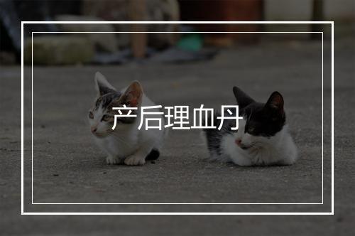 产后理血丹