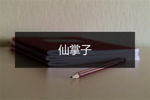 仙掌子