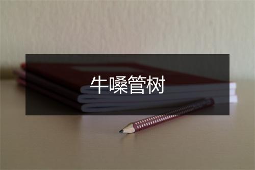 牛嗓管树