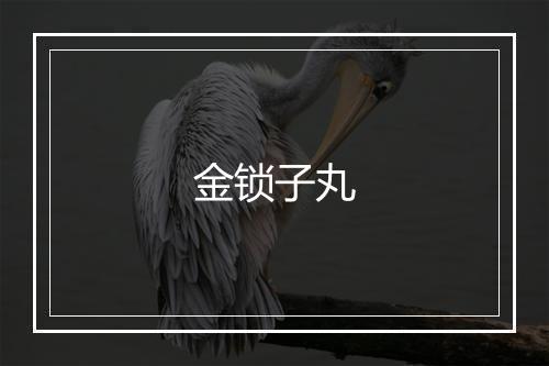 金锁子丸