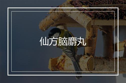 仙方脑麝丸