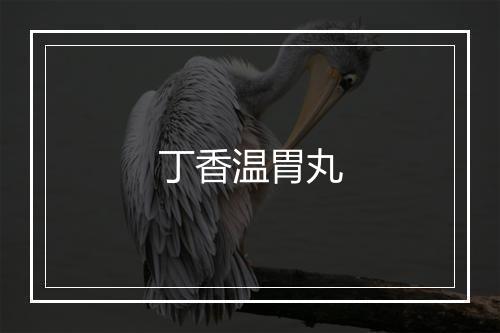 丁香温胃丸