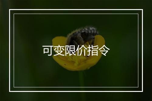 可变限价指令