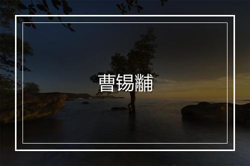 曹锡黼