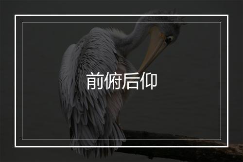 前俯后仰