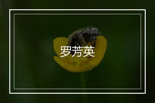 罗芳英