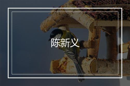 陈新义