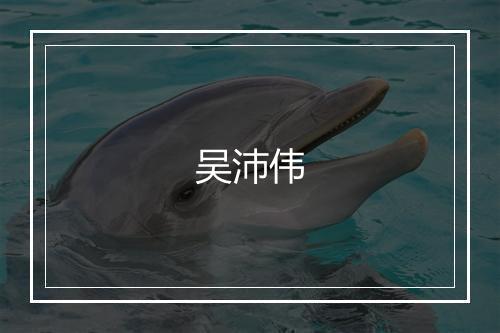 吴沛伟