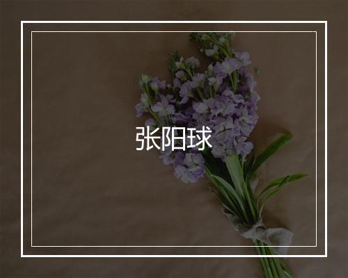 张阳球