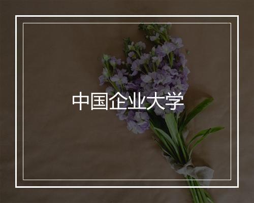 中国企业大学