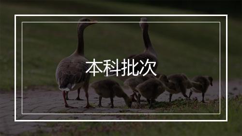 本科批次