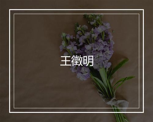 王徵明