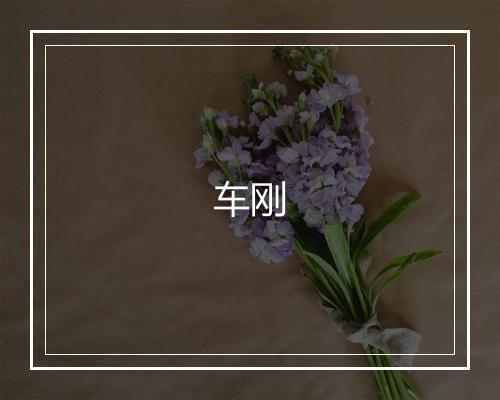 车刚