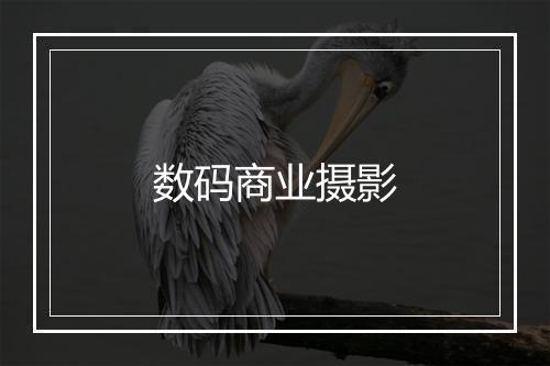 数码商业摄影