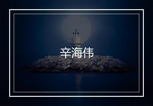 辛海伟