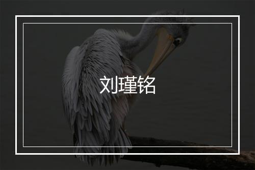 刘瑾铭