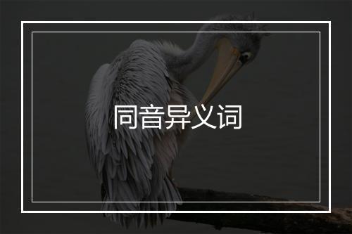 同音异义词