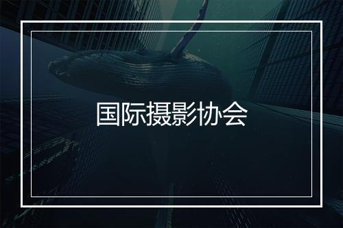 国际摄影协会