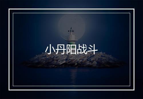 小丹阳战斗