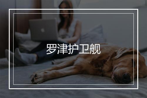 罗津护卫舰