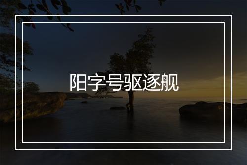 阳字号驱逐舰