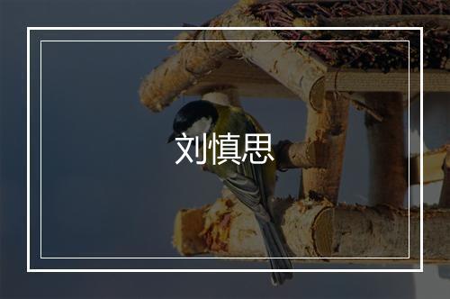 刘慎思