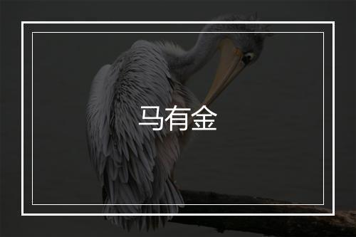 马有金