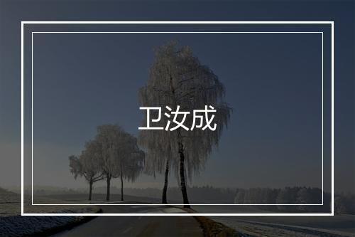 卫汝成