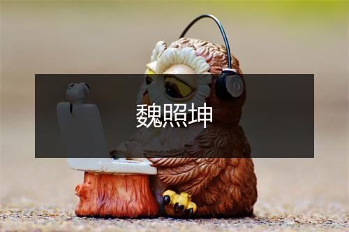 魏照坤