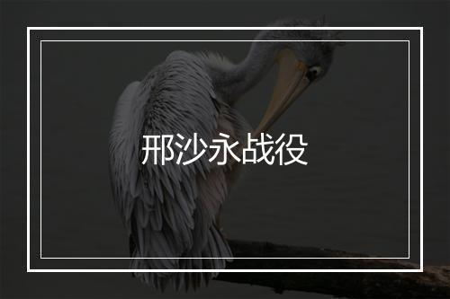 邢沙永战役