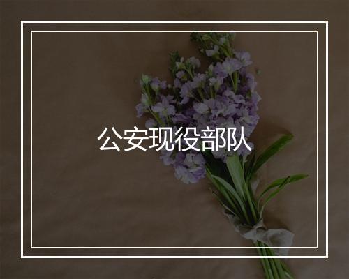 公安现役部队