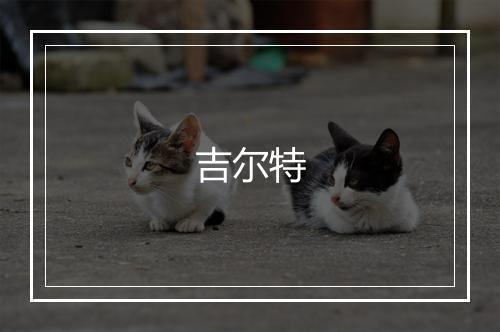 吉尔特