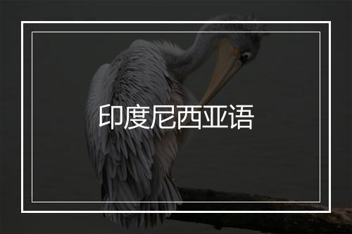 印度尼西亚语