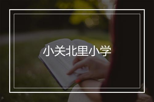 小关北里小学