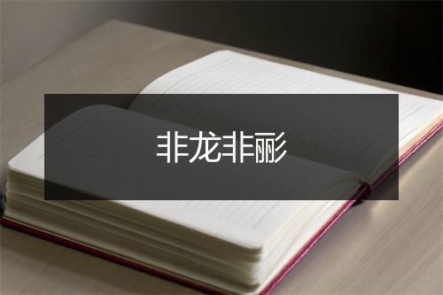 非龙非彨