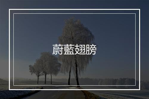 蔚藍翅膀