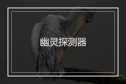 幽灵探测器