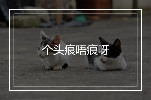 个头痕唔痕呀