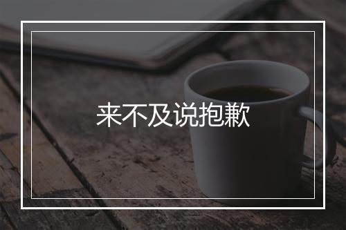 来不及说抱歉