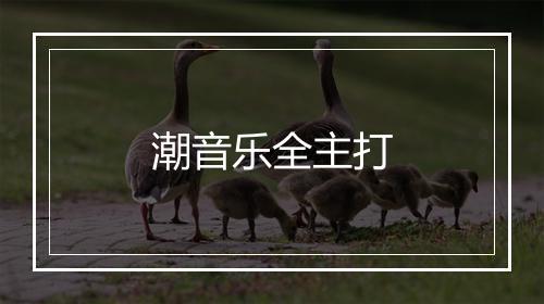 潮音乐全主打